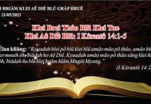 Klei Brei Thâo Blŭ Klei Tue – 21/5/2021