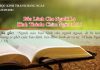 Bảo Lãnh Cho Người Lạ – 23/5/2021
