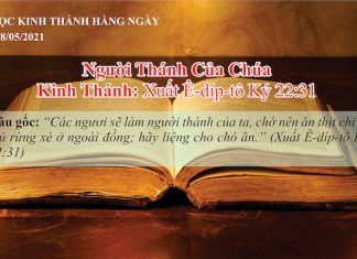 Người Thánh Của Chúa – 28/5/2021