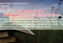 Sống Nhờ Lời Chúa – 12/6/2021