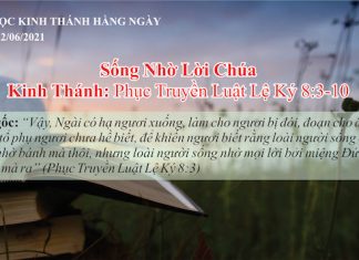 Sống Nhờ Lời Chúa – 12/6/2021