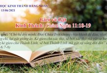 Gieo và Gặt – 13/6/2021