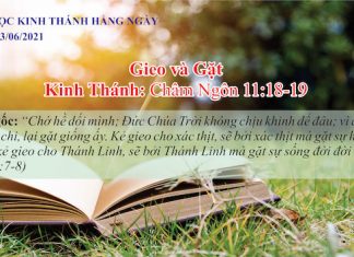 Gieo và Gặt – 13/6/2021
