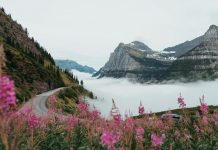 Vui Thỏa Trong Sự Tin Cậy Chúa