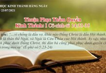 Thuận Phục Thẩm Quyền – 23/7/2021