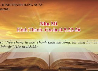 Nhu Mì – 1/9/2021