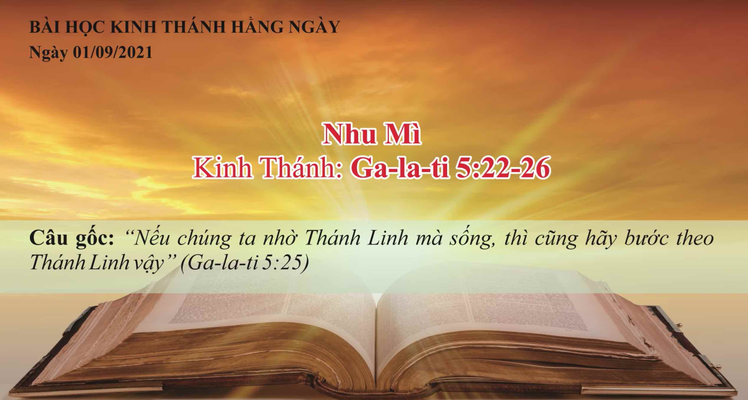 Nhu Mì Là Gì? Khám Phá Tính Cách Hiền Lành Và Ôn Hòa