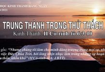 Trung Thành Trong Thử Thách – 1/8/2021