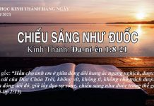 Chiếu Sáng Như Đuốc – 10/8/2021