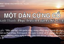 Một Dân Cứng Cổ – 12/8/2021