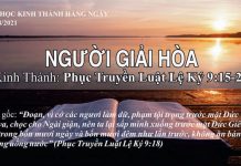 Người Giải Hòa – 13/8/2021
