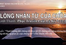 Lòng Nhân Từ Của Chúa – 14/8/2021