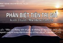 Phân Biệt Tiên Tri Giả – 16/8/2021