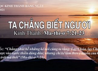Ta Chẳng Biết Ngươi – 17/8/2021