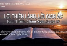 Lời Thiện Lành, Lời Gian Ác – 29/8/2021
