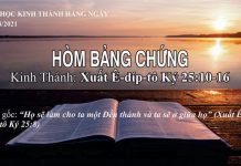 Hòm Bảng Chứng – 30/8/2021