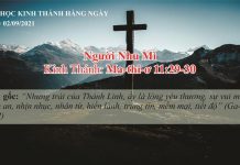 Người Nhu Mì – 2/9/2021