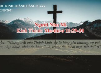 Người Nhu Mì – 2/9/2021