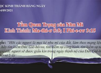 Tầm Quan Trọng của Nhu Mì – 4/9/2021