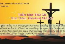 Thẩm Định Thật Giả – 20/9/2021