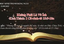 Không Phải Là Vô Ích – 21/9/2021