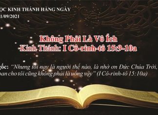 Không Phải Là Vô Ích – 21/9/2021