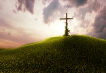 “Vâng Phục Trọn Vẹn” – Bài hát mới cho Lễ Thương Khó