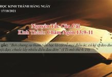 Nguyên Tắc Của Cải – 17/10/2021
