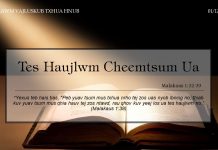 Tes Haujlwm Cheemtsum Ua – 1/12/2021