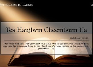 Tes Haujlwm Cheemtsum Ua – 1/12/2021