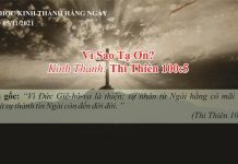 Vì Sao Tạ Ơn? – 5/11/2021