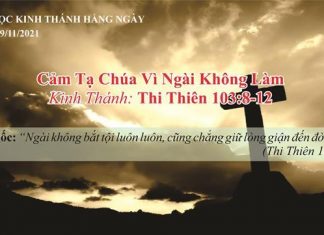 Cảm Tạ Chúa Vì Ngài Không Làm – 9/11/2021