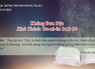 Không Đơn Độc – 11/11/2021