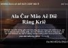 Ala Čar Mâo Aê Diê Răng Kriê – 12/11/2021