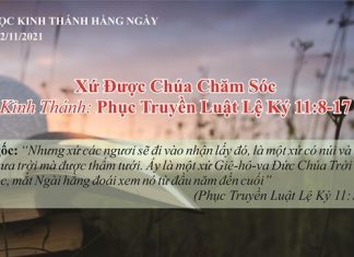 Xứ Được Chúa Chăm Sóc – 12/11/2021