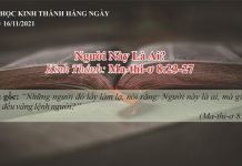 Người Này Là Ai? – 16/11/2021