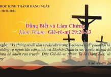 Đấng Biết và Làm Chứng – 20/11/2021