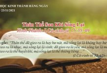 Thân Thể Sau Khi Sống Lại – 23/11/2021