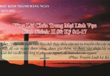 Vâng Lời Chúa Trong Mọi Lĩnh Vực – 26/11/2021