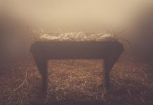 Thơ: Sử Lược Máng Cỏ Xưa