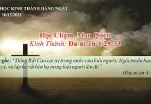 Học Chậm, Mau Quên – 10/12/2021