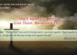 Học Chậm, Mau Quên – 10/12/2021