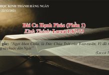 Bài Ca Hạnh Phúc (Phần 1) – 22/12/2021