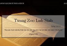Txuag Zoo Lub Siab – 26/12/2021