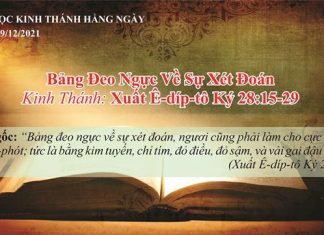 Bảng Đeo Ngực Về Sự Xét Đoán – 29/12/2021