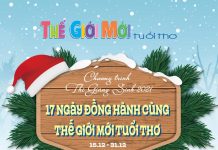 Chương Trình Thi Kinh Thánh Giáng Sinh 2021: “17 Ngày Đồng Hành Cùng Thế Giới Mới Tuổi Thơ”