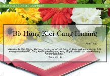 Bŏ Hŏng Klei Čang Hmăng – 1/1/2022