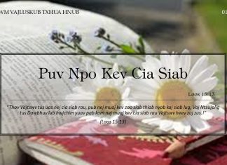 Puv Npo Kev Cia Siab – 1/1/2022