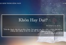 Khôn Hay Dại? – 11/1/2022