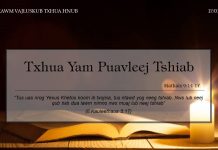 Txhua Yam Puavleej Tshiab – 17/1/2022